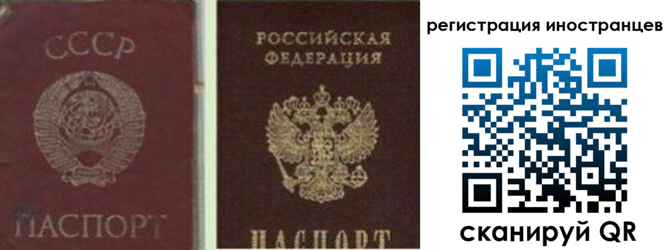 прописка в Калининграде